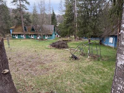 img_8480.jpg