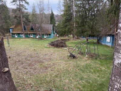 img_8480.jpg