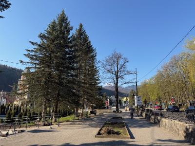 img_8588.jpg