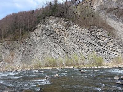 img_8837.jpg